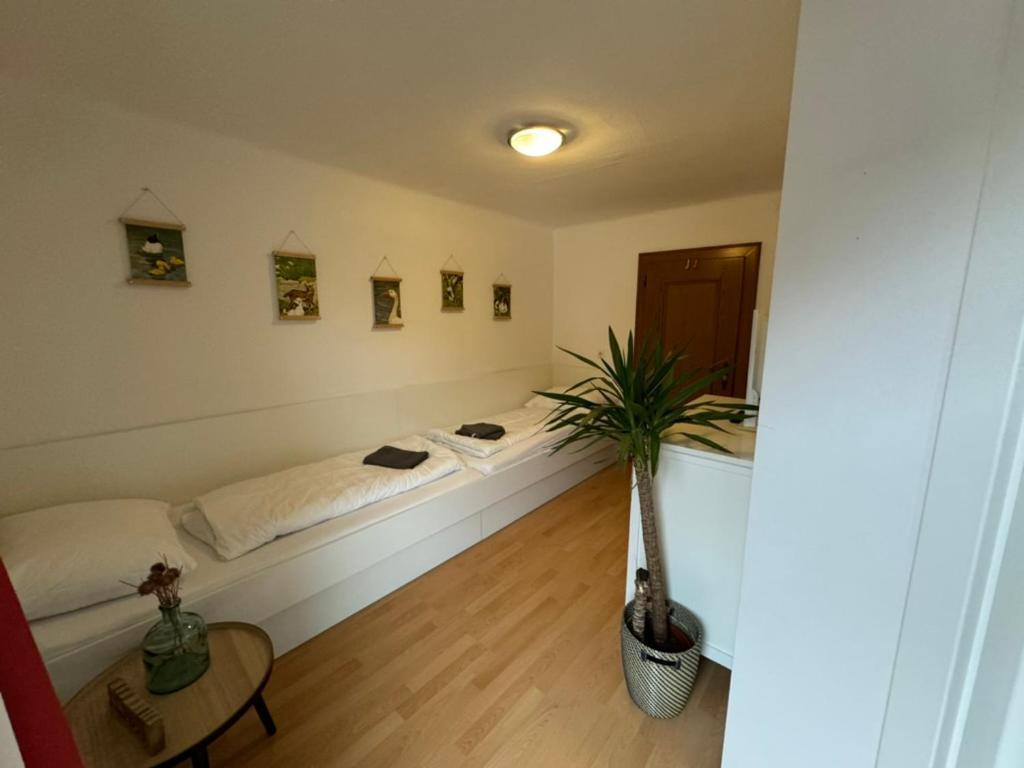 Go For Mountains Appartements Eben Im Pongau Luaran gambar